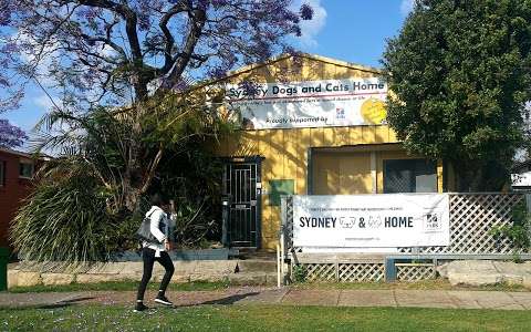 Photo: Sydney Dogs and Cats Home