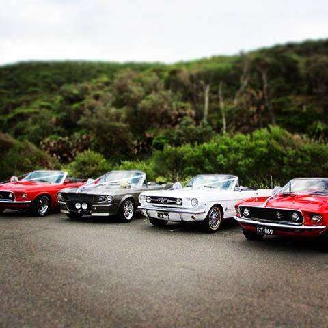 Photo: Sydney Mustangs Wedding Cars
